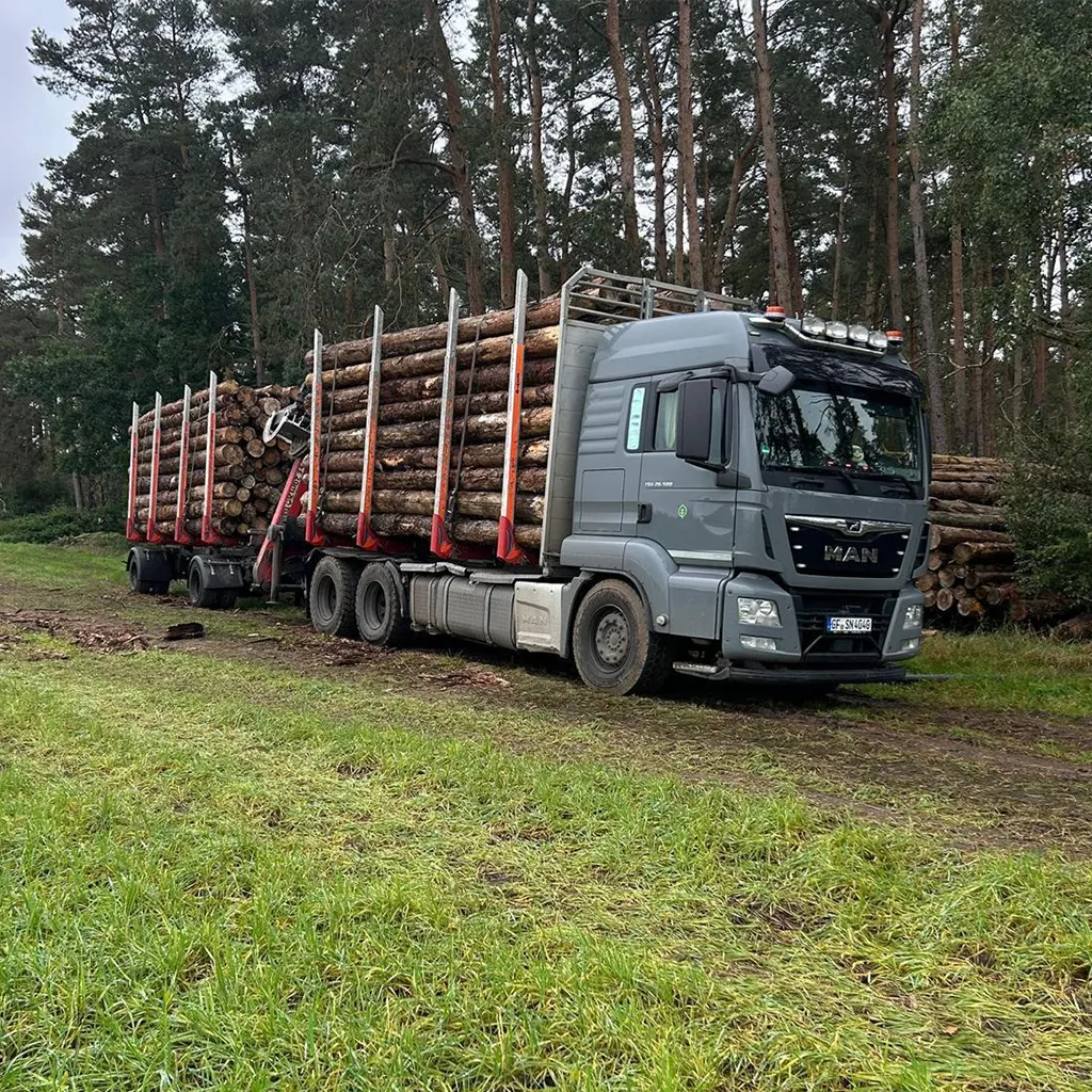 Holztransport